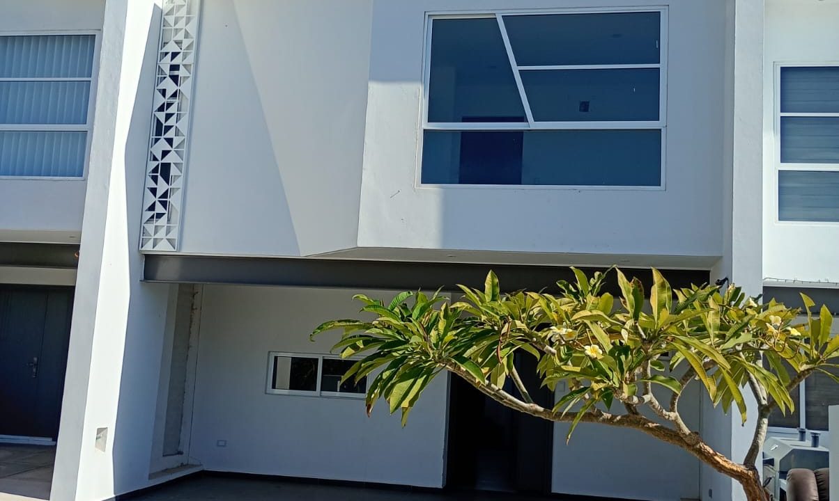 efc3b64e-419e-4918-bcc1-2851df37694d